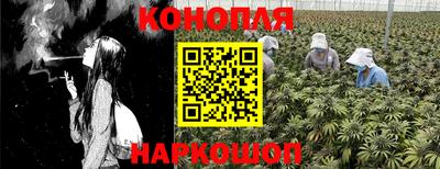 дживик Бердск
