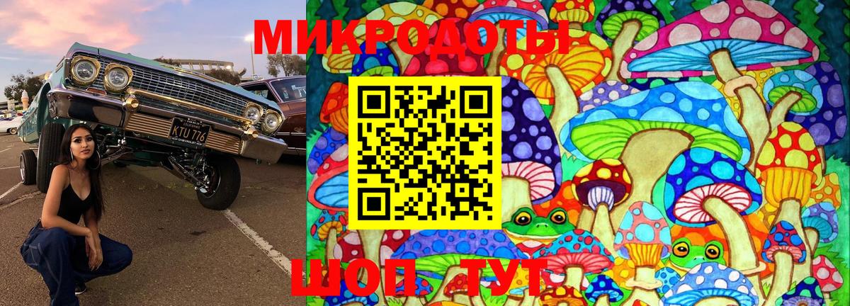 Галлюциногенные грибы мухоморы Корсаков
