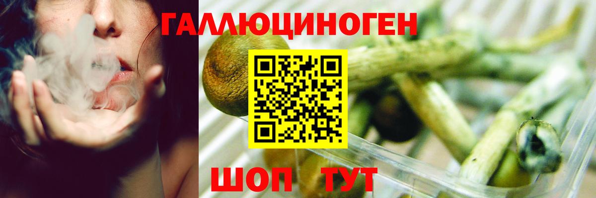 Галлюциногенные грибы Psilocybine cubensis  Вход с VPN  Корсаков 